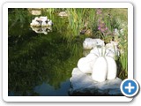 biopiscina, piscina naturale